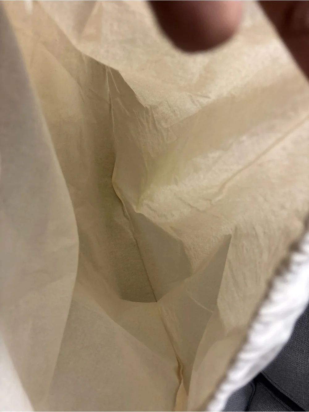 Tory Burch Dust Bag